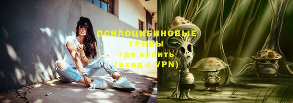 винт Алексин