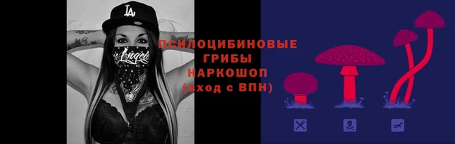 а пвп мука Алзамай