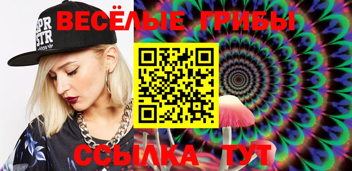 что такое   Вход с VPN  Бердск  Галлюциногенные грибы Cubensis 