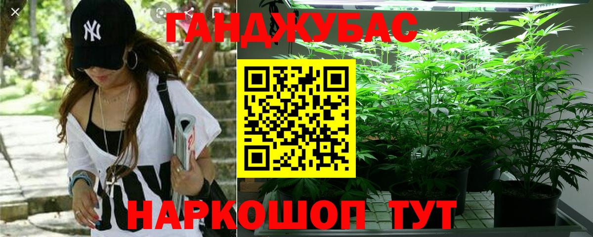 Бошки марихуана тримм  МАРИХУАНА LSD WEED  Конопля VHQ  Вход с VPN  Бердск 